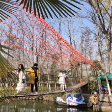 滨湖国家森林公园-合肥-CNG一