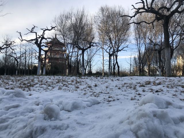 西局玉璞园旅行图片 2