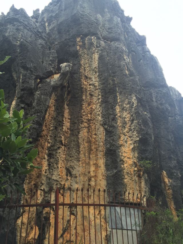乃古石林风景区旅行图片 1