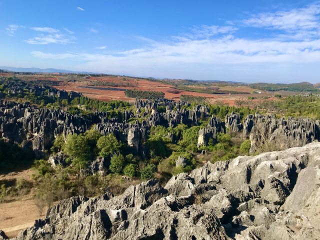 乃古石林风景区旅行图片 2