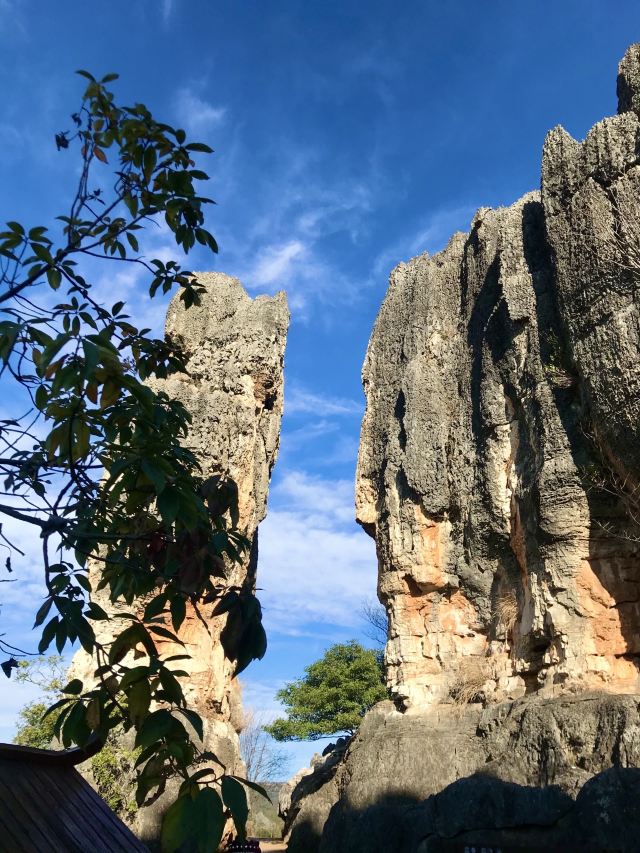 乃古石林风景区旅行图片 3