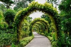 新加坡植物园-新加坡-M_梦初