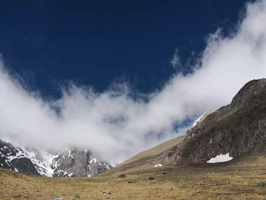 藏民的虫草江湖：海拔5000米雪线差点丧命经历告诉你真实采草故事
