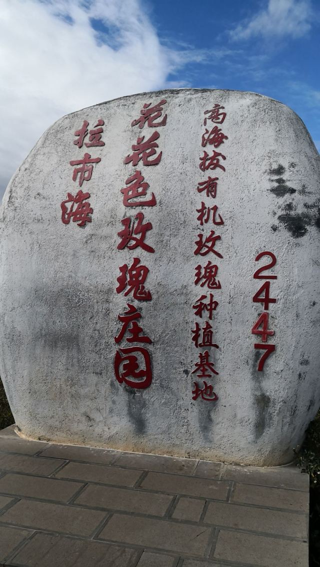 丽江花花色玫瑰庄园旅行图片 2