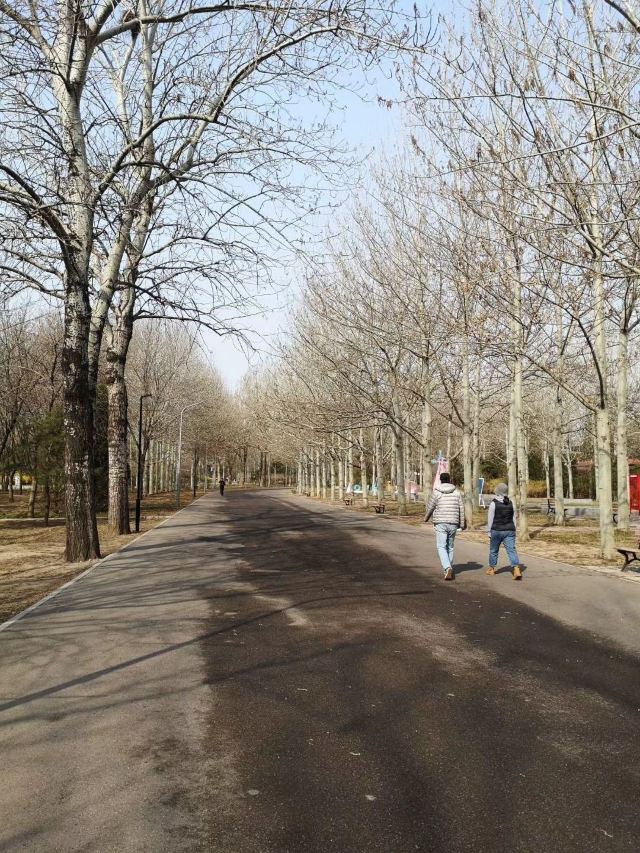 丽都花园旅行图片 3