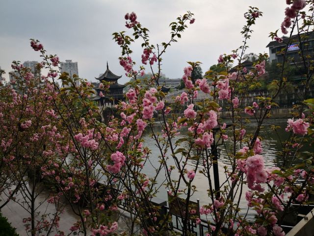 甲秀广场旅行图片 1