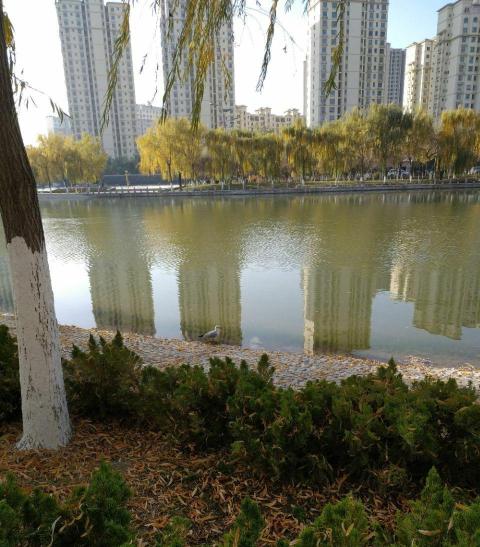 杨氏鸭掌门特色火锅(温宿店)餐厅图片