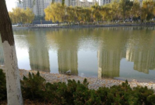 杨氏鸭掌门特色火锅(温宿店)美食图片