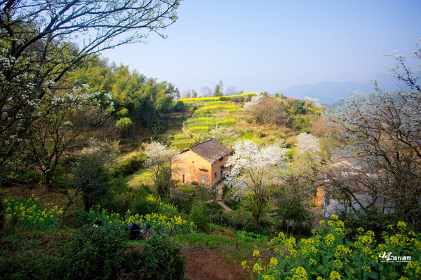 行走在婺源,那幅水墨丹青绘就的画卷