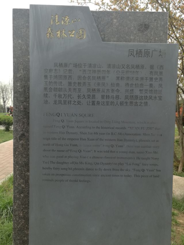 清凉山森林公园旅行图片 4