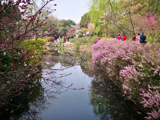 春天记得来江南赏花赏景赏春光