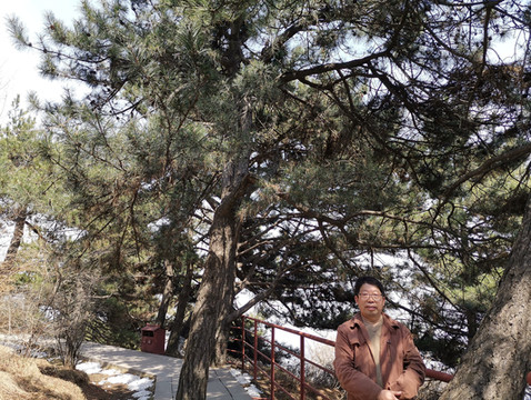 太行美景——王莽岭