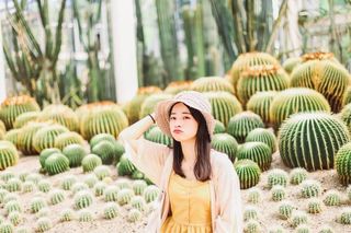 叮咚,送上一份厦门攻略请查收