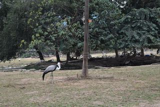 广州长隆游玩计