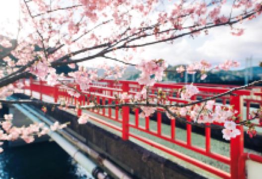 河津川景点图片