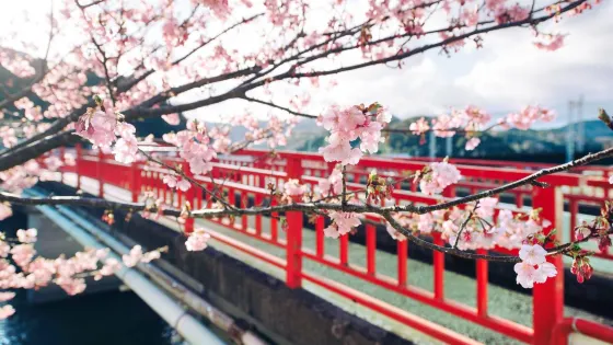河津川