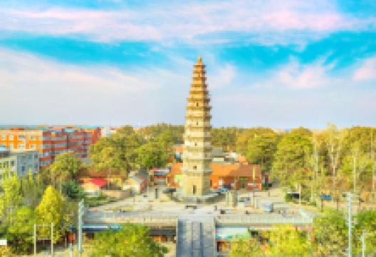 乾明寺塔景点图片