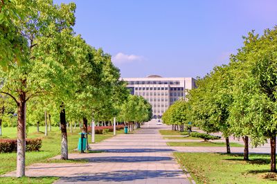 中南大学(岳麓山校区)
