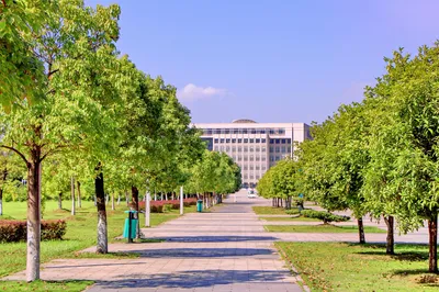Central South University