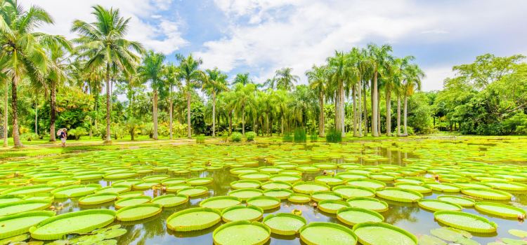 Xishuangbanna Tropical Botanical Garden, Chinese Academy of ...