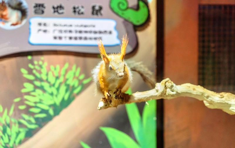 远古海洋