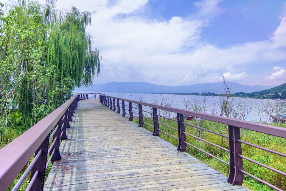 抚仙湖北岸湿地