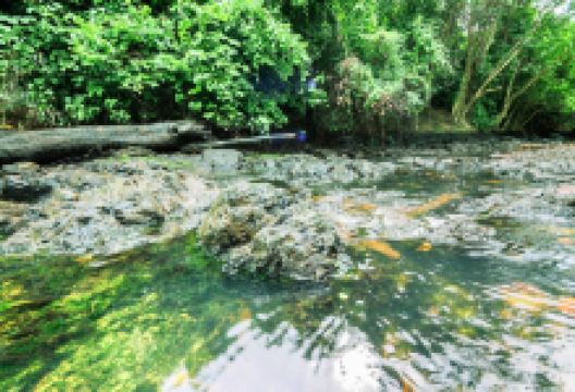 岗卡章国家公园景点图片
