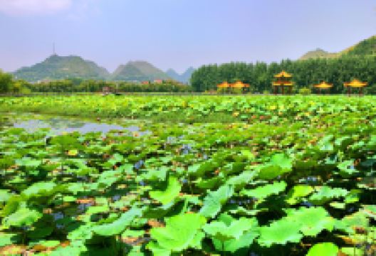 招堤风景区景点图片