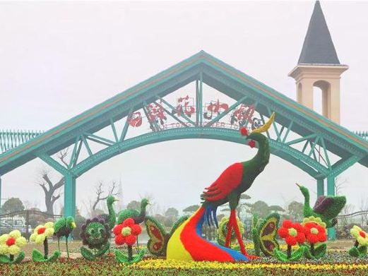 鲜花小镇