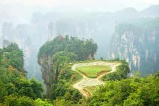 空中田园-张家界