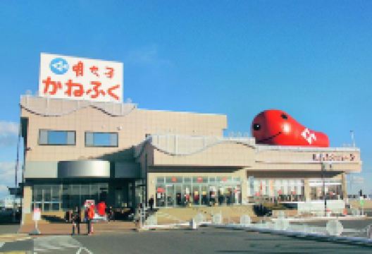 大洗明太乐园景点图片