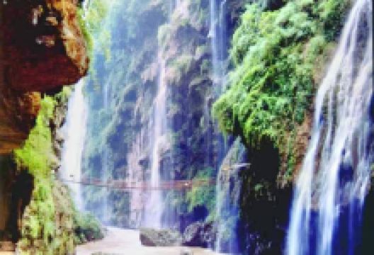 天星国家森林公园景点图片