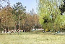 正阳公园景点图片
