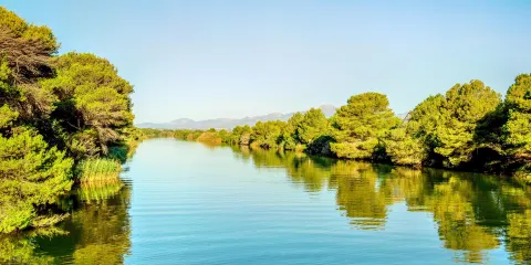 阿爾武費拉自然公園