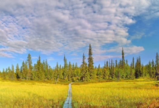 萨利色尔卡金矿景点图片