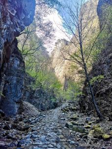 野三坡百草畔景区-涞水-老鹰在飞翔