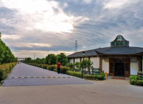 艳阳红村