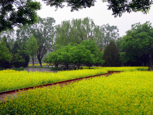 雨中游北坞
