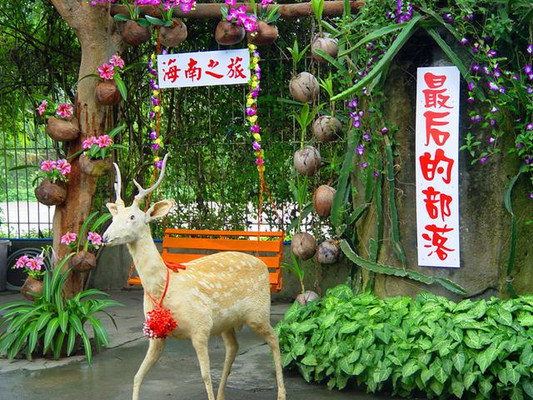 海南旅游:北纬18度的美丽之湾(图)