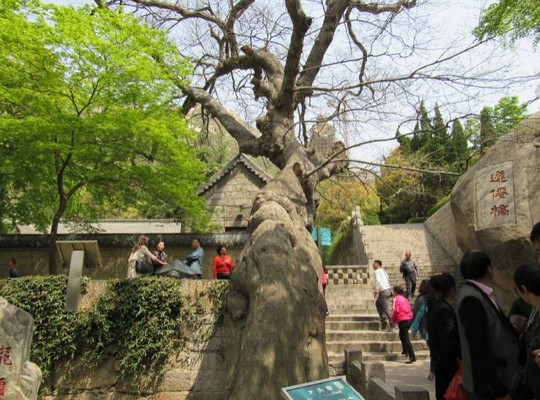 崂山太清宫有什么传说故事 这些故事去玩前一定要知道