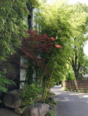 上海闵行工业园区一日游