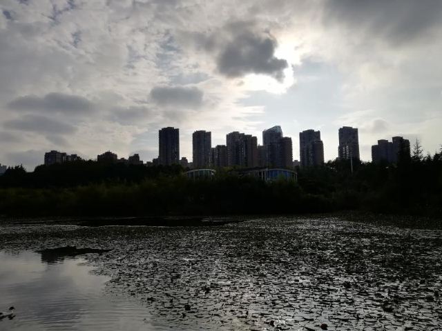 小湾河湿地公园旅行图片 4