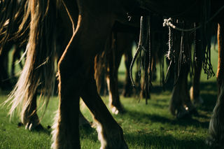 呼伦贝尔之优质酒店解读——一生一定要去一次呼伦贝尔草原
