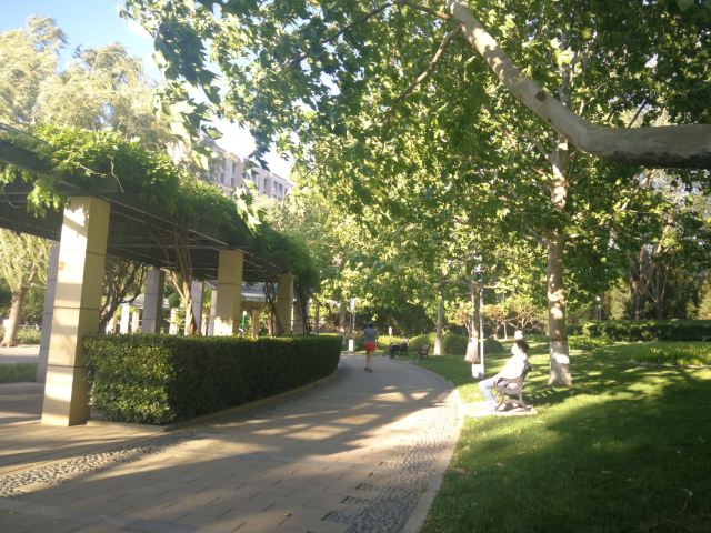 阳光星期八公园旅行图片 3