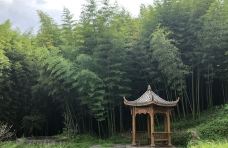 大洞竹海-盘州-吴立珍