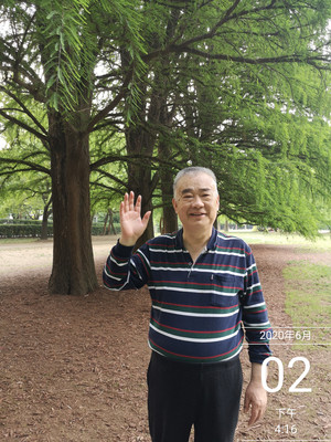 森林公园为何如此美？