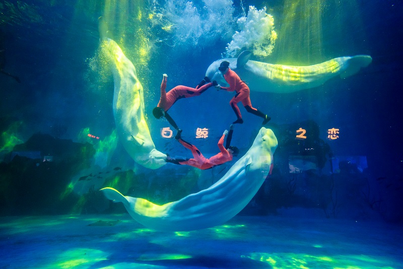 天津海昌极地海洋公园