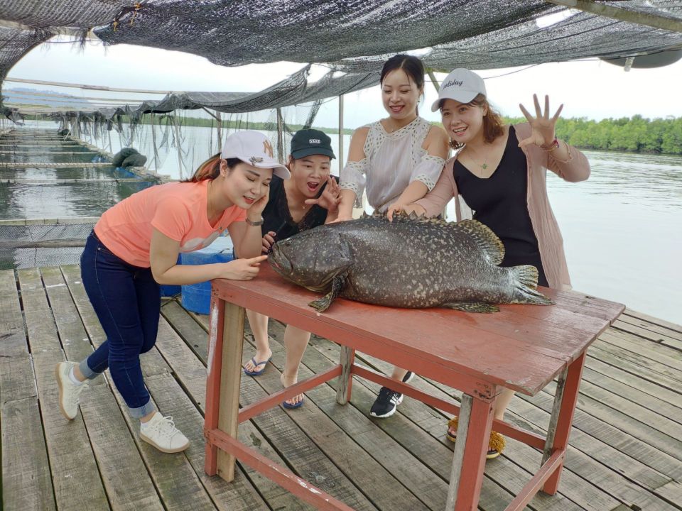 小鱼巢餐厅图片