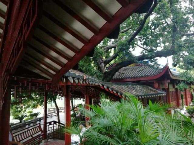 西湖公園
