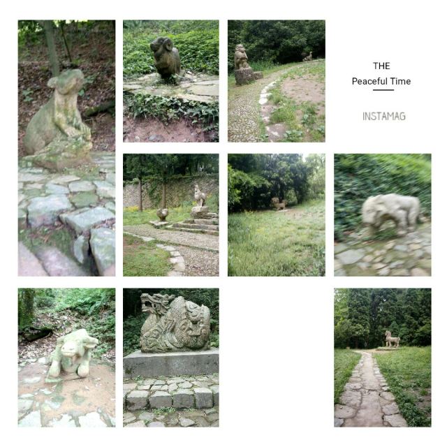 芦花荡公园-园门旅行图片 1